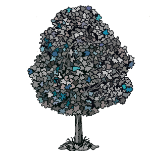 A tree in full bloom.